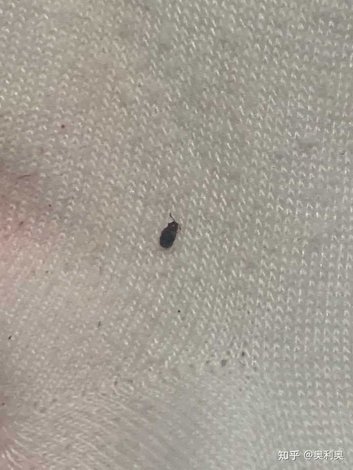 最新资讯 第37页