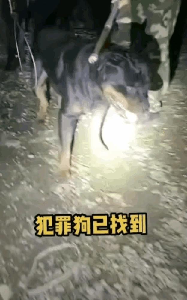 娱乐生活 第14页